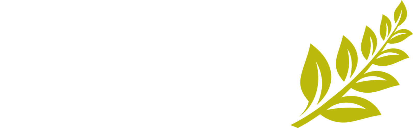 Gardens at Candi Sawangan